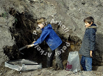 Miners017