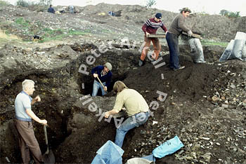Miners018