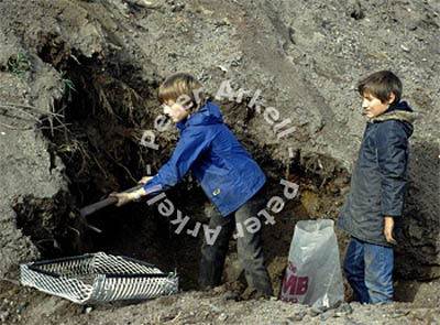 Miners017