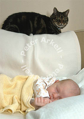 earlyyears076